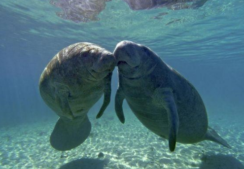 1550104406665727.png image.png